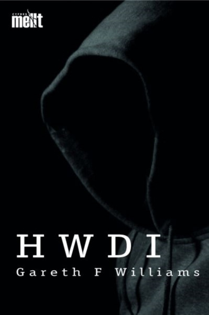 E-book Cyfres Mellt: Hwdi Gareth F Williams