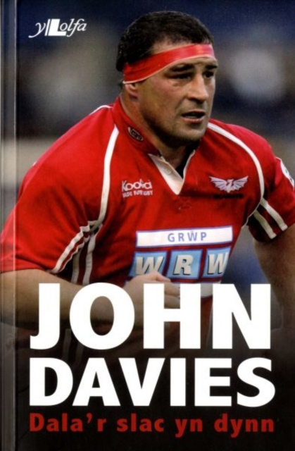 E-kniha Dala'r Slac yn Dynn Davies John a Gruffydd Wyn