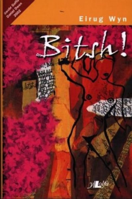 E-book Bitsh! - Gwobr Goffa Daniel Owen 2002 Eirug Wyn