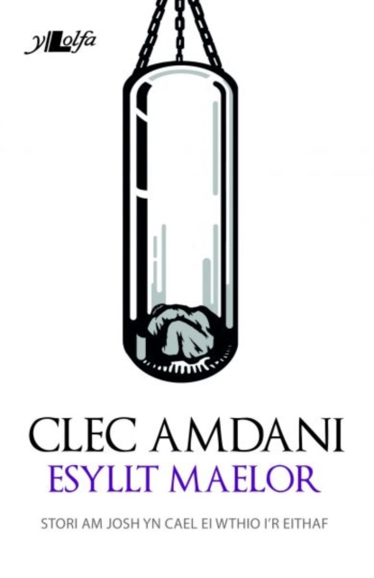 E-book Cyfres Copa: Clec Amdani Esyllt Maelor