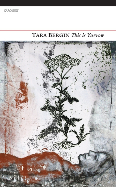 E-book This is Yarrow Tara Bergin