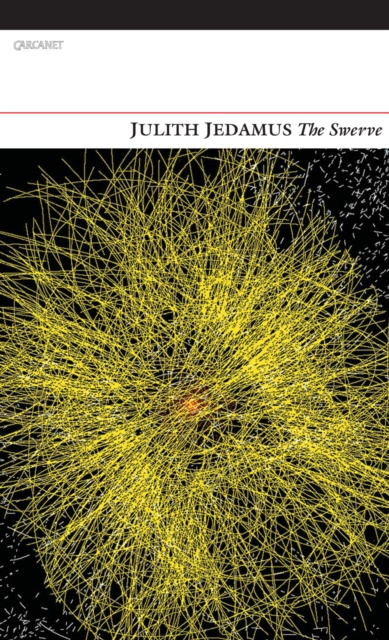 E-Book Swerve Julith Jedamus