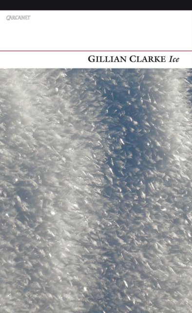 E-book Ice Gillian Clarke