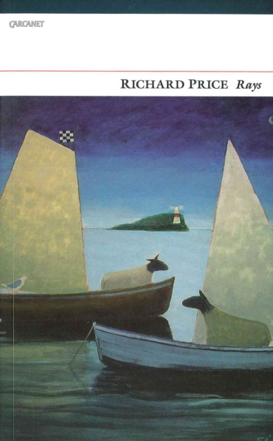 E-knjiga Rays Richard Price