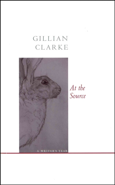 E-book At the Source Gillian Clarke