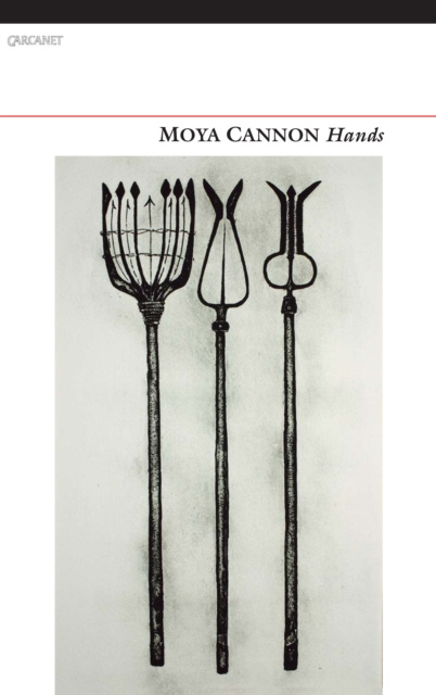 E-knjiga Hands Moya Cannon