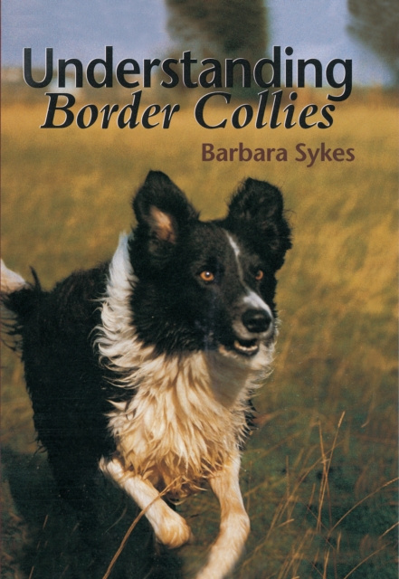 E-kniha Understanding Border Collies Barbara Sykes