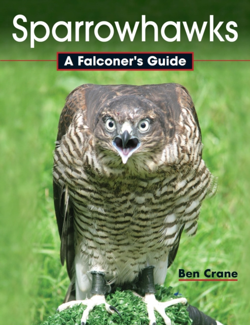 E-book Sparrowhawks Ben Crane