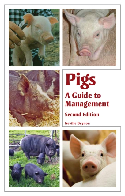E-knjiga Pigs Neville Beynon