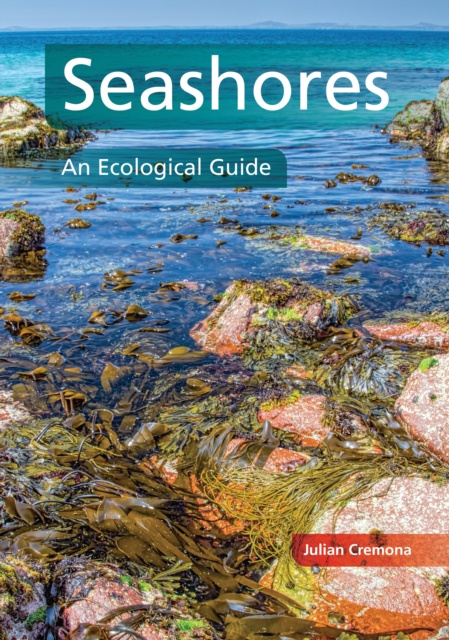 E-knjiga Seashores Julian Cremona