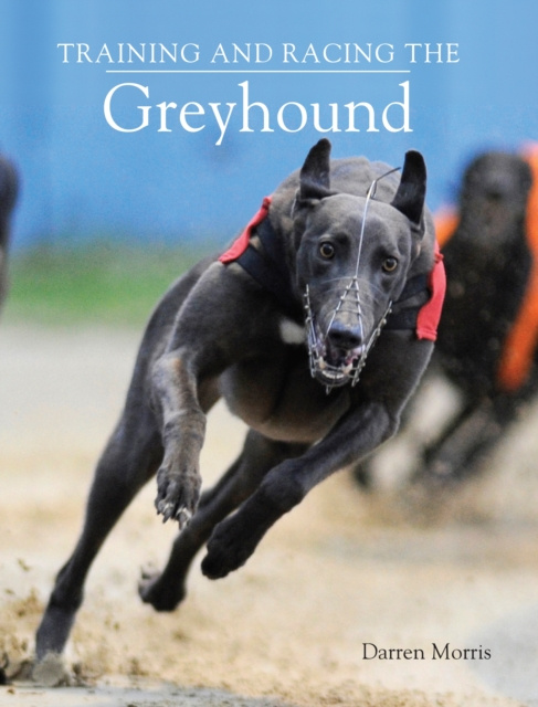 E-book Training and Racing the Greyhound Darren Morris