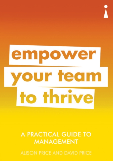 E-book Practical Guide to Management Alison Price
