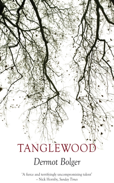 E-knjiga Tanglewood Dermot Bolger