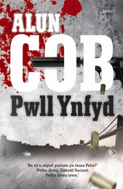 E-knjiga Pwll Ynfyd Alun Cob