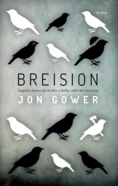 E-knjiga Breision Jon Gower