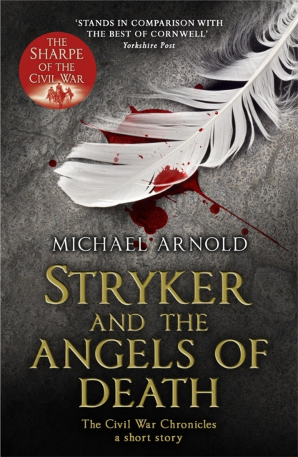 E-kniha Stryker and the Angels of Death (Ebook) Michael Arnold