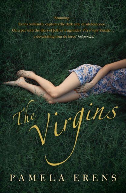 E-knjiga Virgins Pamela Erens