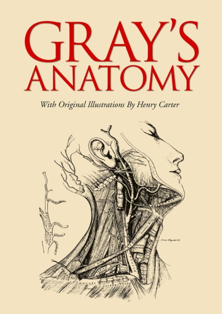 E-book Gray's Anatomy Henry Gray
