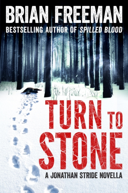 E-kniha Turn to Stone Brian Freeman