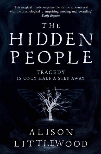 E-knjiga Hidden People Alison Littlewood