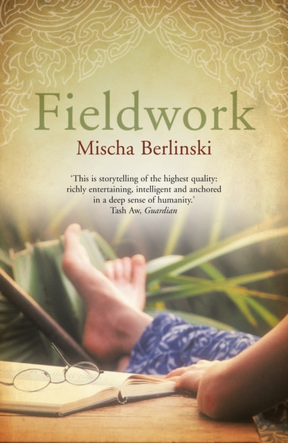 E-book Fieldwork Mischa Berlinski
