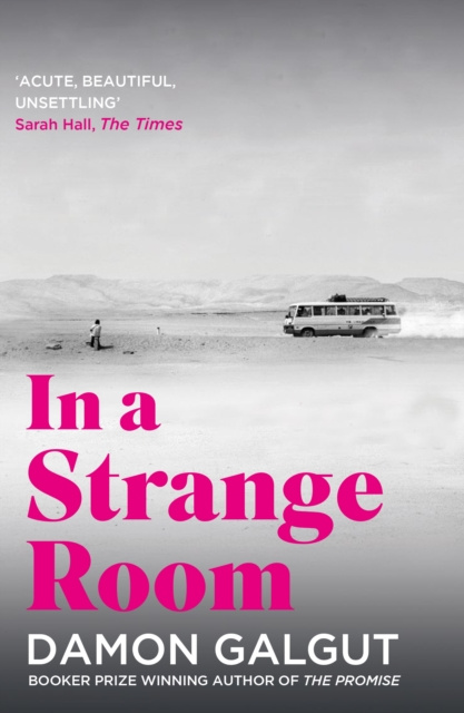 E-kniha In a Strange Room Damon Galgut