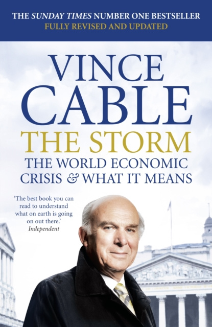 E-kniha Storm Vince Cable
