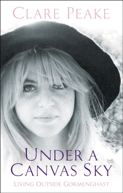 E-book Under a Canvas Sky Clare Peake