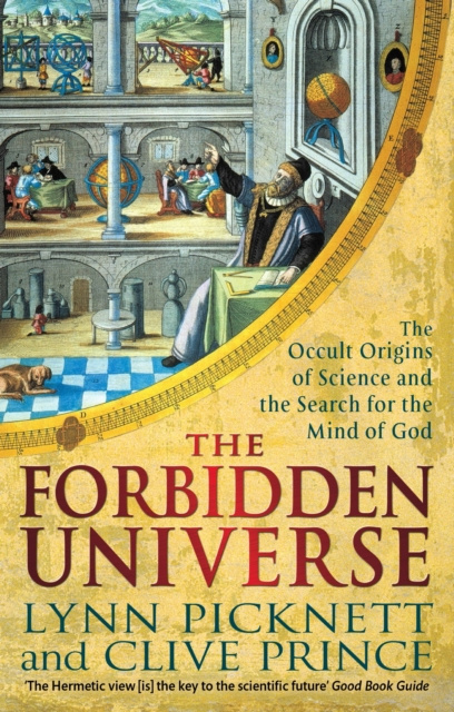E-kniha Forbidden Universe Lynn Picknett