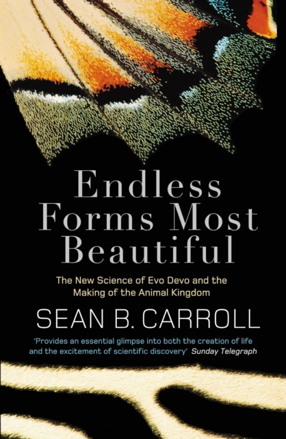 E-book Endless Forms Most Beautiful Sean B. Carroll