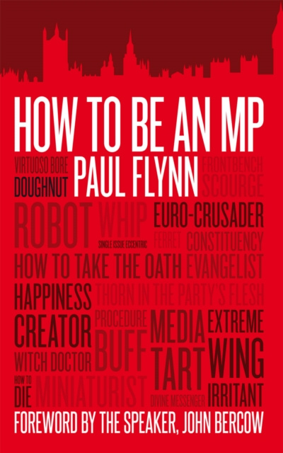 E-book How to be an MP Paul Flynn