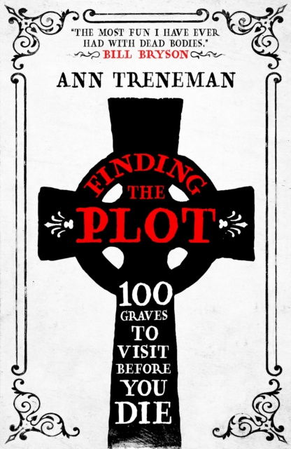 E-knjiga Finding the Plot Ann Treneman