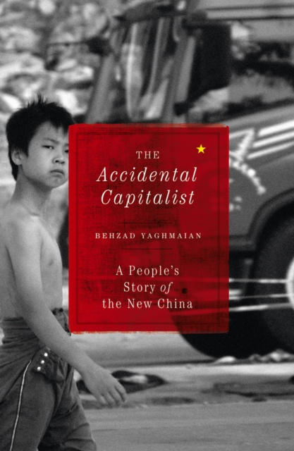 E-knjiga Accidental Capitalist Behzad Yaghmaian