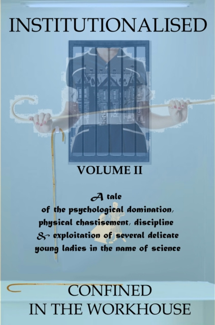 E-knjiga Institutionalised - Volume 2 Garth Toyntanen