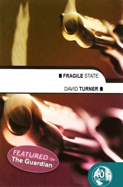 E-knjiga Fragile State David Turner