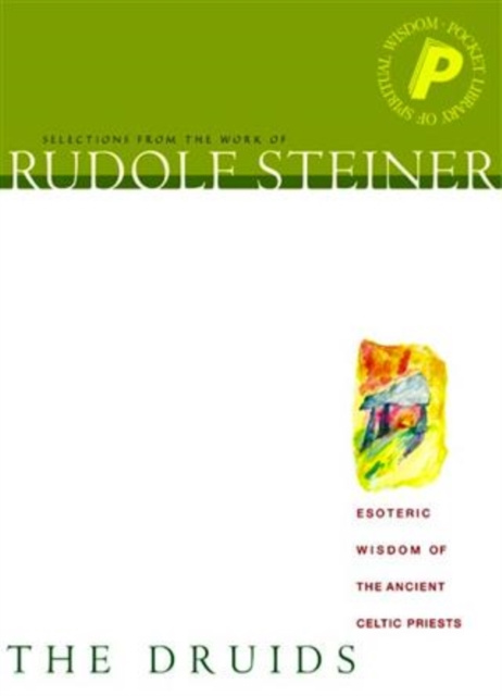 E-kniha Druids Rudolf Steiner