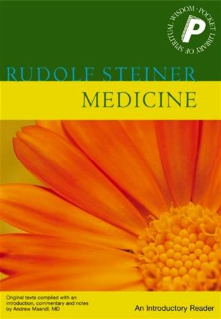 E-kniha Medicine Rudolf Steiner