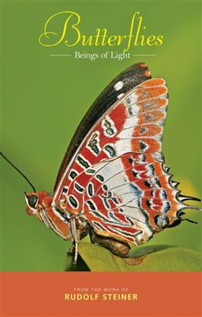E-kniha Butterflies Rudolf Steiner
