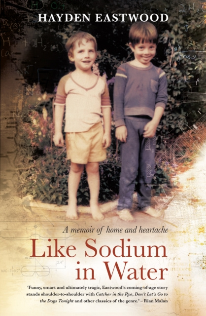 E-knjiga Like Sodium in Water Hayden Eastwood