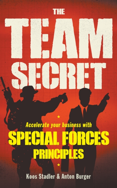 E-book Team Secret Koos Stadler
