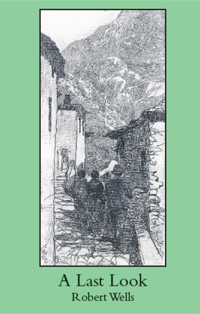 E-book Last Look Robert Wells