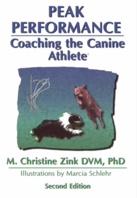 E-knjiga PEAK PERFORMANCE Christine Zink