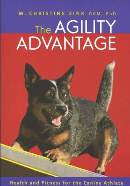 E-Book Agility Advantage Christine Zink
