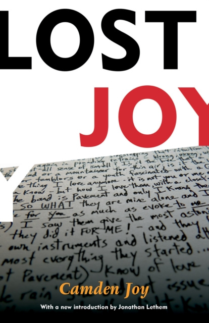 E-book Lost Joy Camden Joy