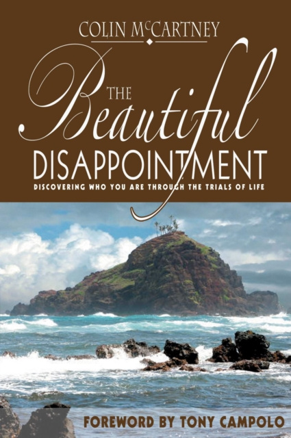 E-knjiga Beautiful Disappointment Colin McCartney