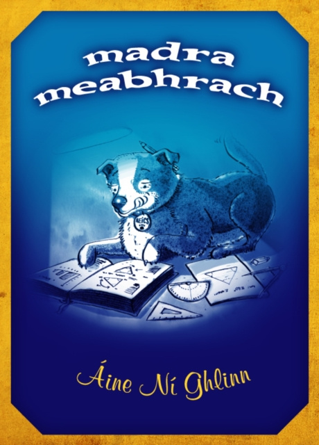 E-kniha Madra Meabhrach Aine Ni Ghlinn