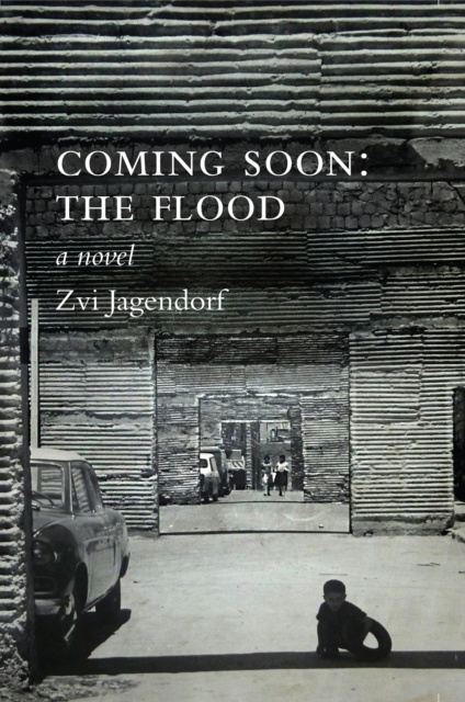 E-book Coming Soon: The Flood Zvi Jagendorf