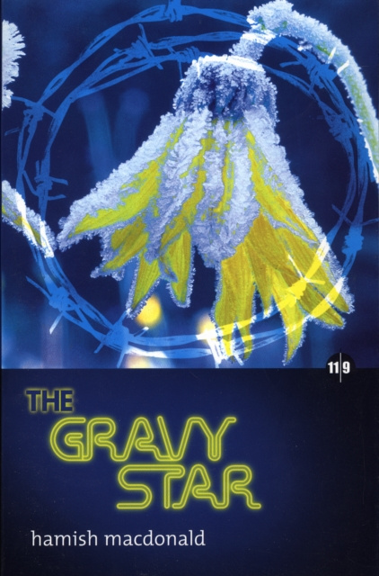 E-knjiga Gravy Star Hamish MacDonald
