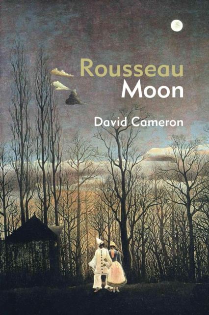 E-knjiga Rousseau Moon David Cameron