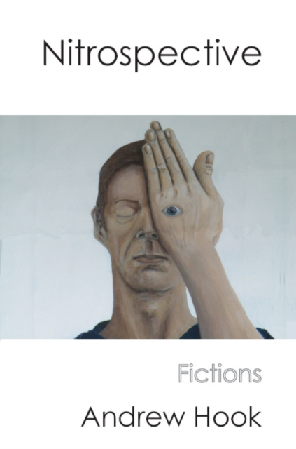 E-book Nitrospective Andrew Hook